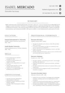Sample resume design 10 by Job Vista