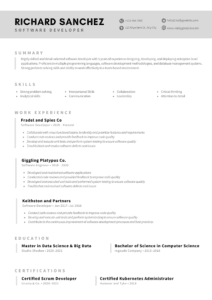 Sample resume design 16 by Job Vista