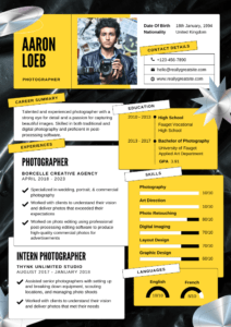 Sample resume design 3 by Job Vista