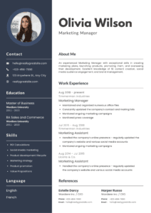 Sample resume design 9 by Job Vista