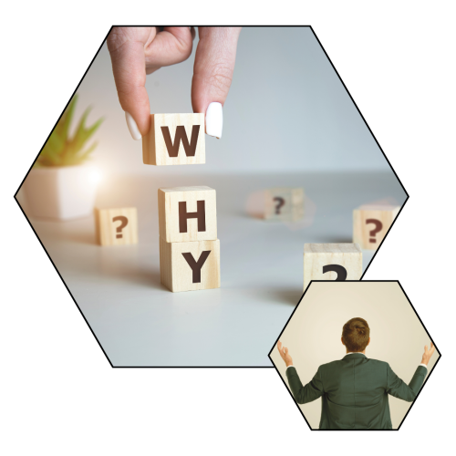 Why choose Job Vista